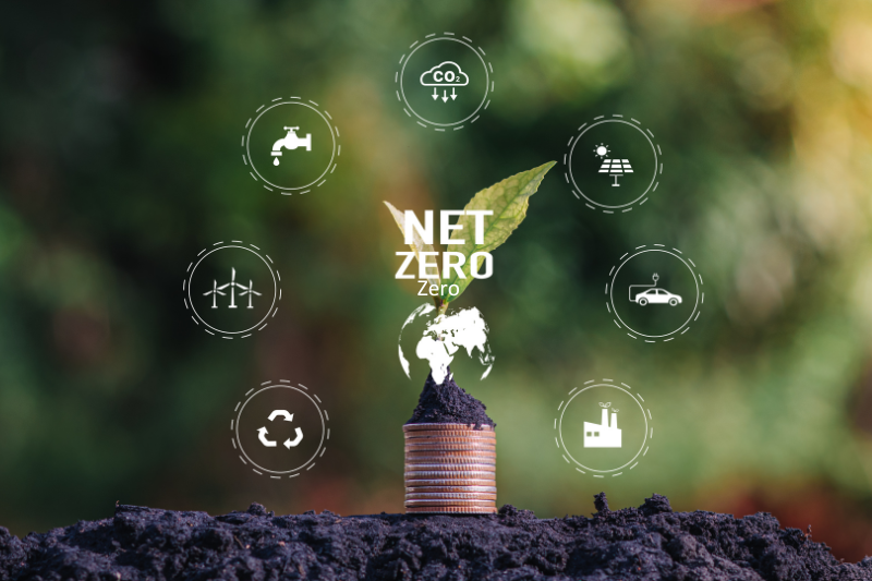 Net Zero-1