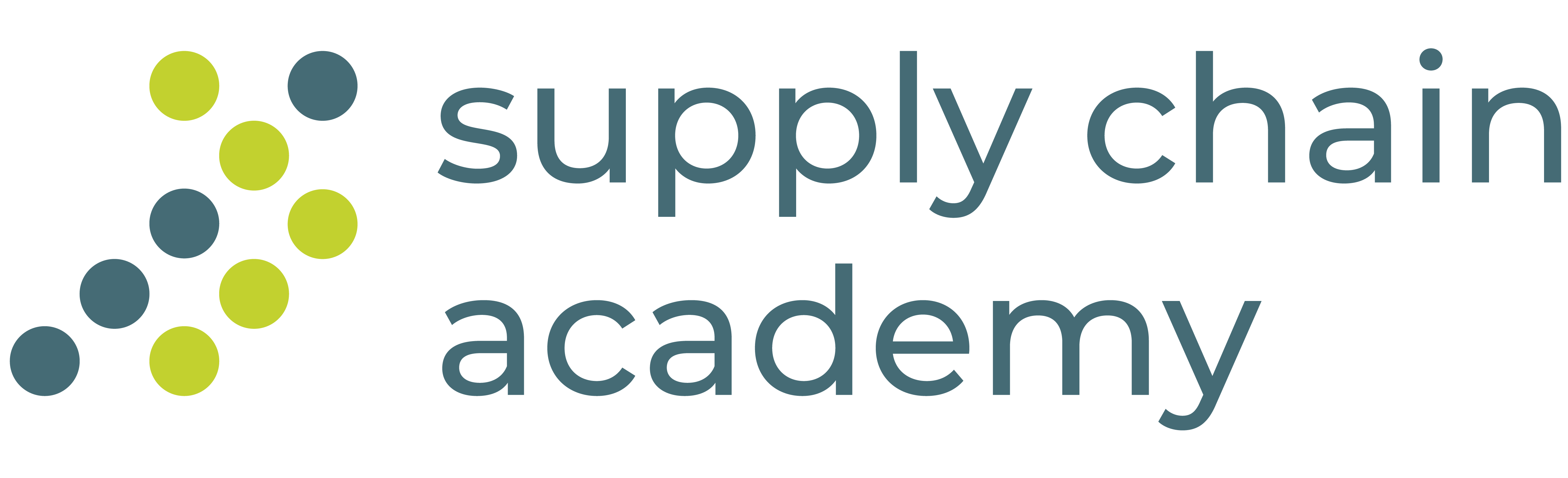 SCA Logo RGB (digital use)-01