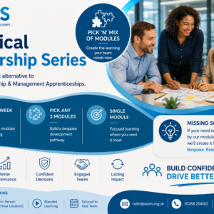 Practical Leadership Series